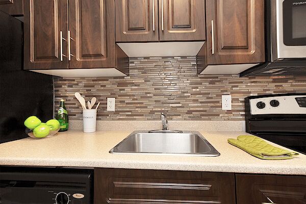 Winnipeg studio Apartment for rent. Property photo: 609082-2