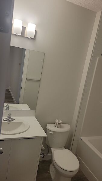 Calgary 1 bedroom Basement for rent. Property photo: 609222-3