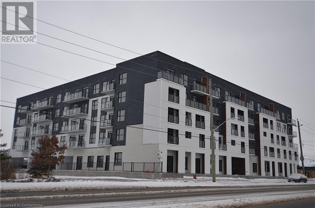 Hamilton Apartment For Rent | Apartment in Hamilton | ID 613790 ...
