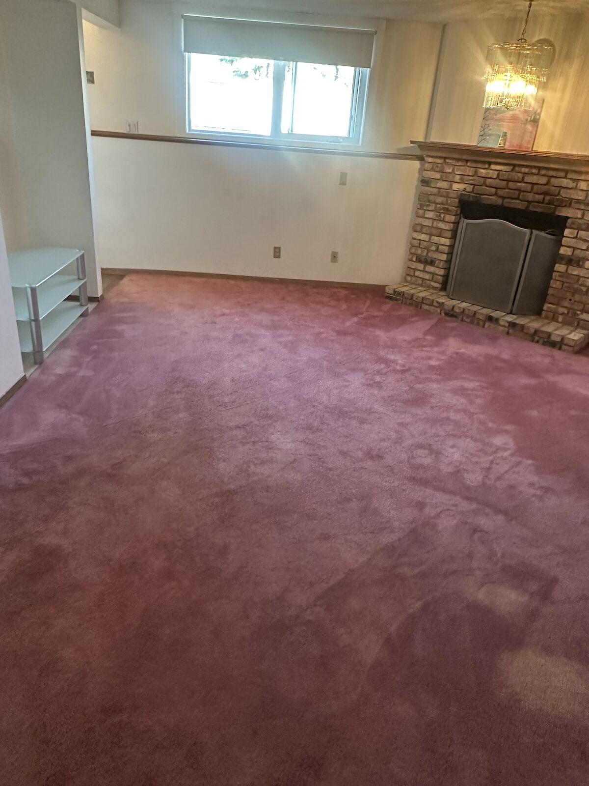 Calgary 1 bedroom Basement for rent. Property photo: 620228-1