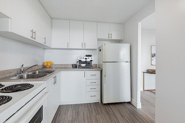 Lindsay bachelor bedrooms Apartment for rent. Property photo: 621039-2