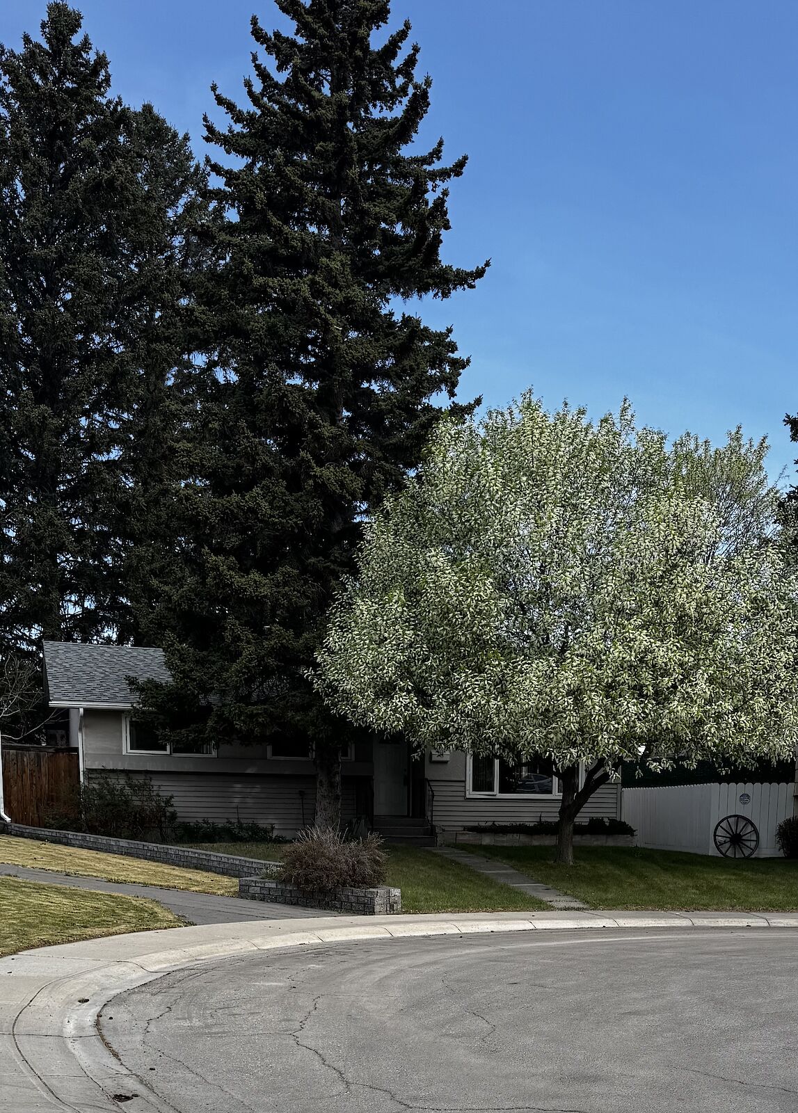 Calgary 3 + Den bedrooms House for rent. Property photo: 624114-1