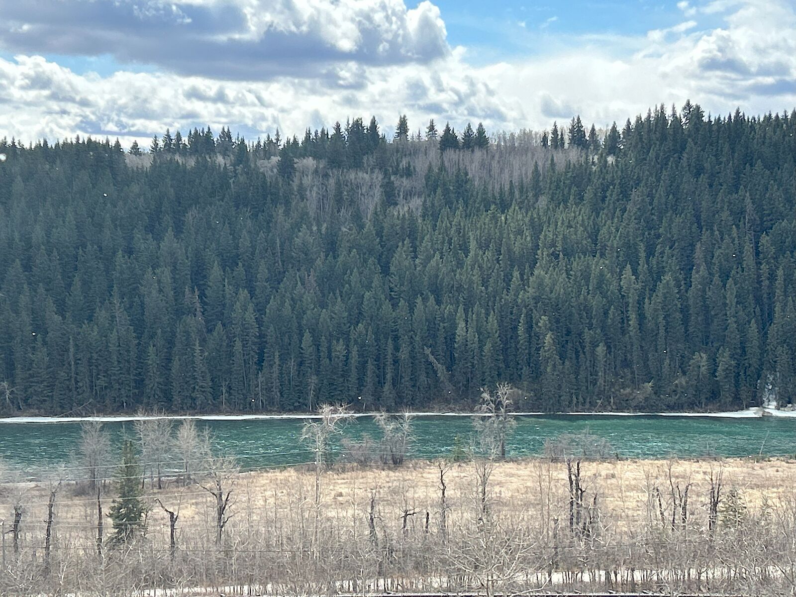 Calgary 1 bedroom Basement for rent. Property photo: 625837-1