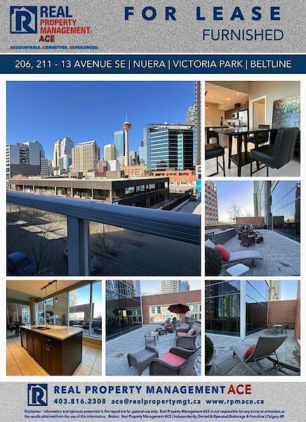 Calgary studio Apartment for rent. Property photo: 625890-2