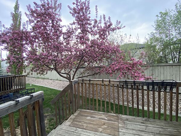 Edmonton 3 bedrooms Duplex for rent. Property photo: 628098-2