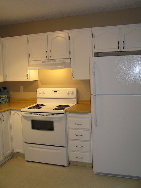Newer+fridge+and+stove Calgary 2 bedrooms Main Floor for rent. Property photo: 63053-3