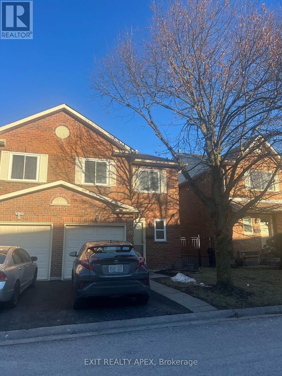 Toronto 1 bedroom Apartment for rent. Property photo: 633271-1