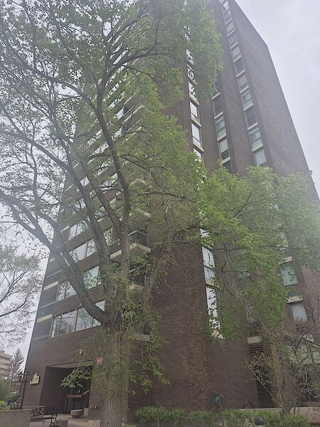 Edmonton 2 bedrooms Condo Unit for rent. Property photo: 633282-3