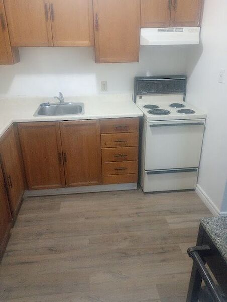 Lindsay studio Apartment for rent. Property photo: 633416-2