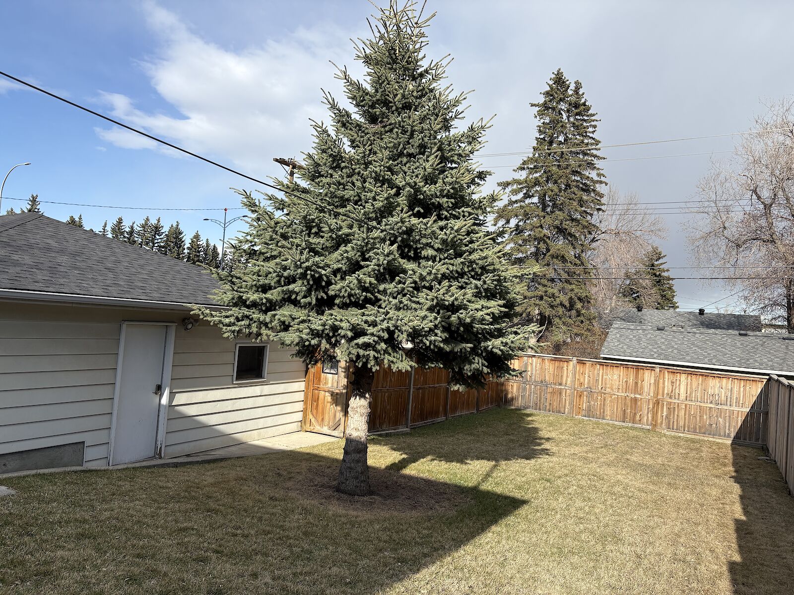 Calgary 2 bedrooms Basement for rent. Property photo: 633719-1