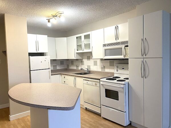 Edmonton studio Condo Unit for rent. Property photo: 634046-2