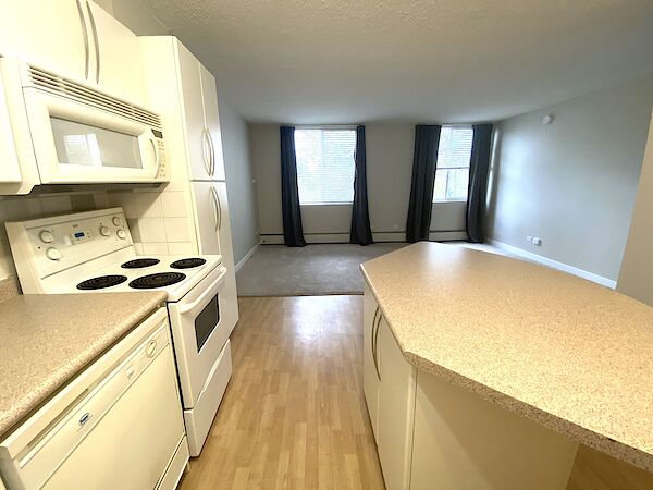 Edmonton studio Condo Unit for rent. Property photo: 634046-3