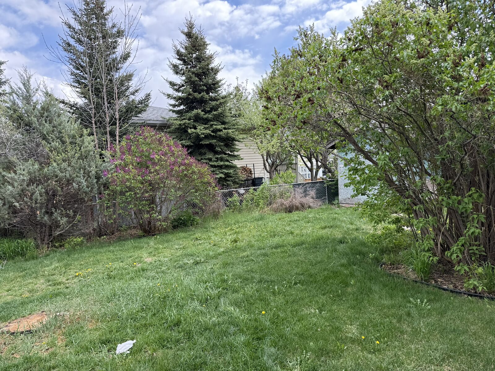 Calgary 3 bedrooms Main Floor for rent. Property photo: 634341-1