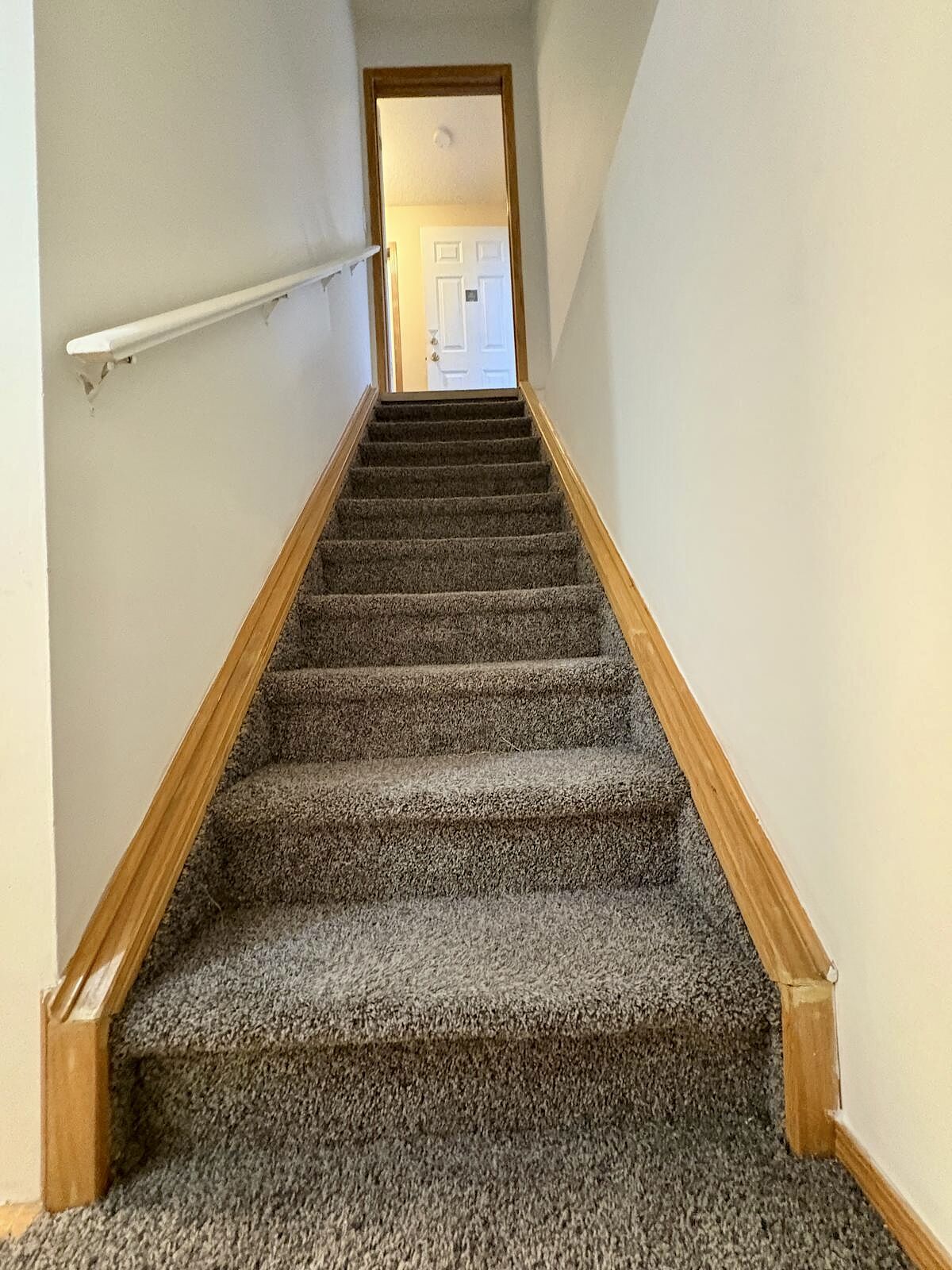 Calgary 2 bedrooms Basement for rent. Property photo: 634791-1