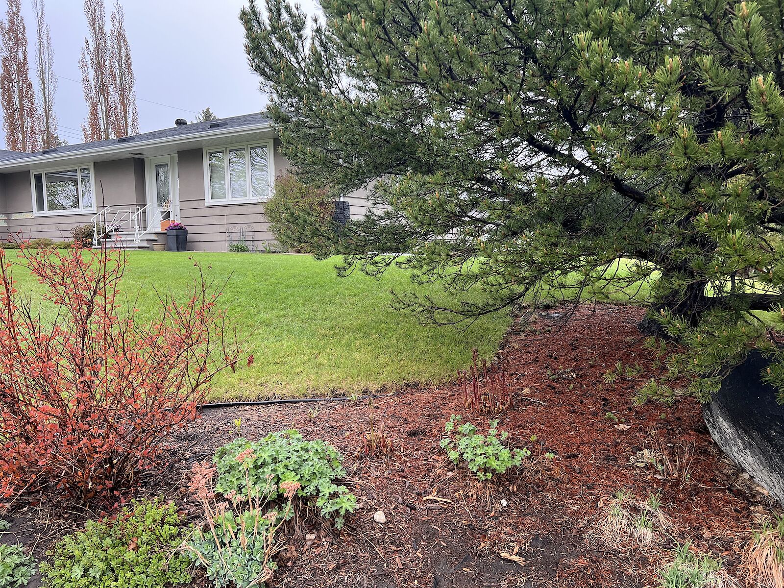 Calgary 5 bedrooms House for rent. Property photo: 634917-1