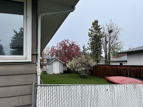 Calgary 5 bedrooms House for rent. Property photo: 634917-3