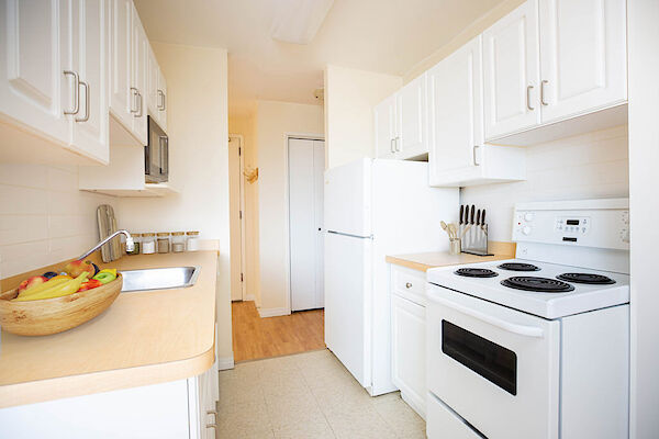 Winnipeg 1 bedroom Apartment for rent. Property photo: 636101-3