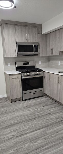 Calgary 2 bedrooms Basement for rent. Property photo: 636909-2