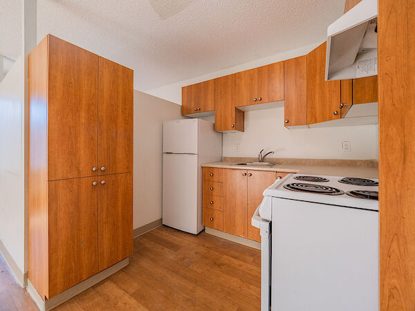 Ville-Marie bachelor bedrooms Apartment for rent. Property photo: 637479-3