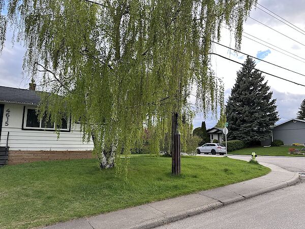 Calgary 2 bedrooms Basement for rent. Property photo: 637750-2