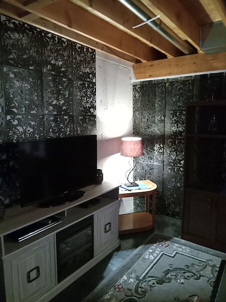 Strathmore 1 bedroom Basement for rent. Property photo: 637857-3