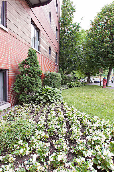 Montréal 2 bedrooms Apartment for rent. Property photo: 638573-3