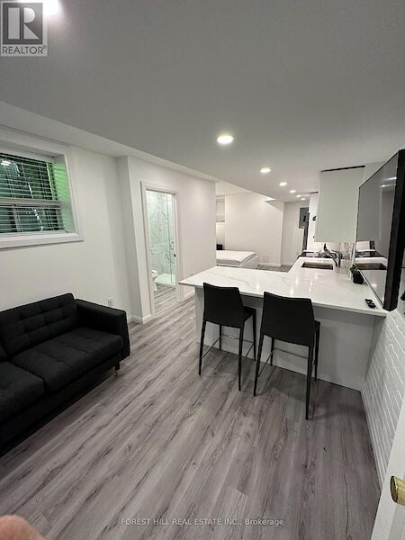 Toronto studio House for rent. Property photo: 638932-3