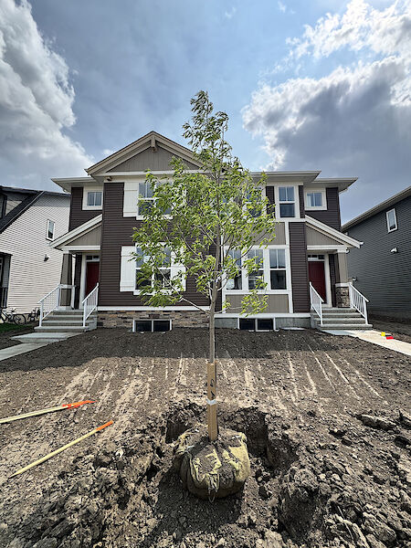 Chestermere 3 bedrooms Duplex for rent. Property photo: 639221-2