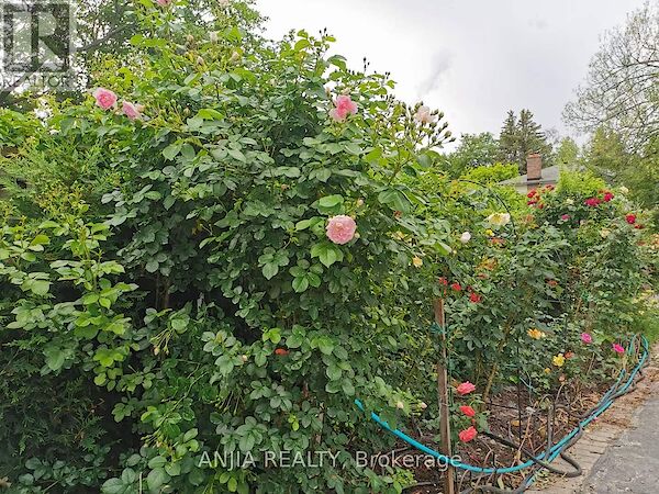 Markham 2 bedrooms House for rent. Property photo: 639276-2
