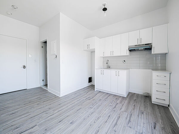 Montréal 1 bedroom Apartment for rent. Property photo: 639434-3