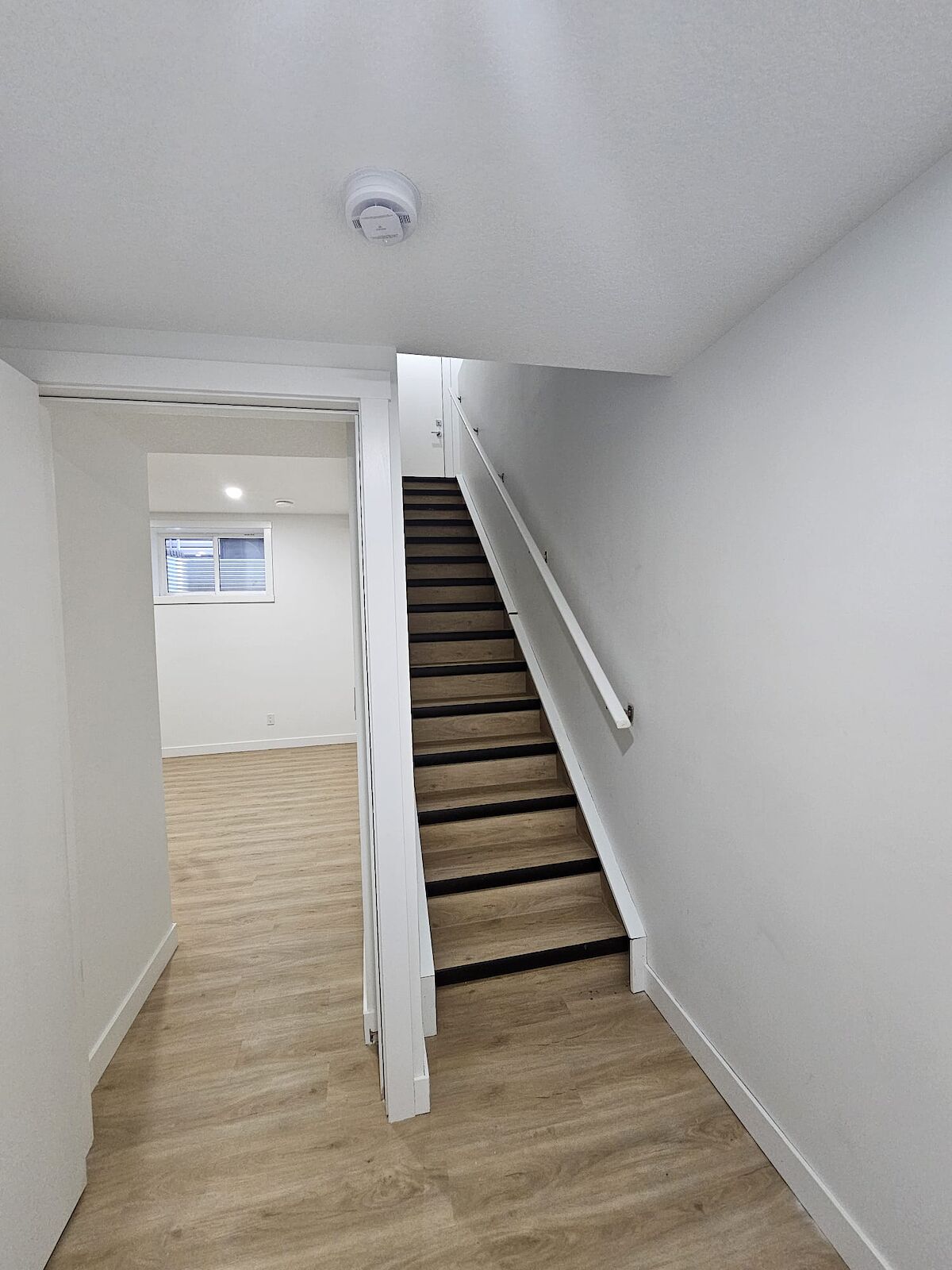 Calgary 2 bedrooms Basement for rent. Property photo: 639982-1