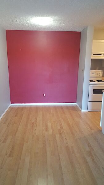 Red Deer 1 bedroom Condo Unit for rent. Property photo: 640690-2
