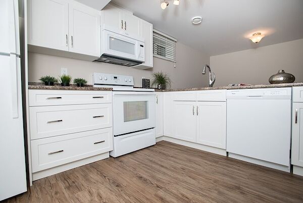 Edmonton 2 bedrooms Basement for rent. Property photo: 641044-2