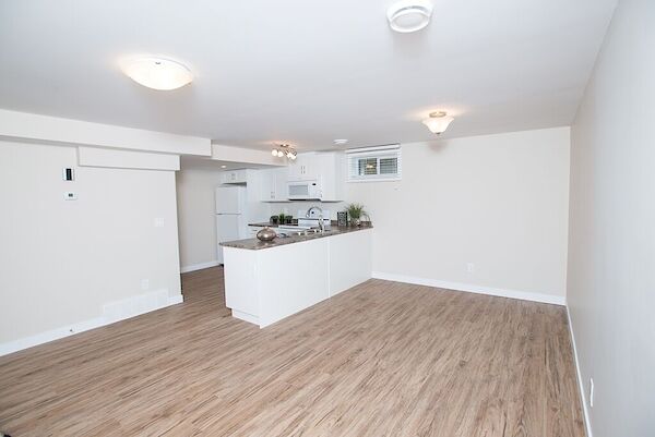 Edmonton 2 bedrooms Basement for rent. Property photo: 641044-3
