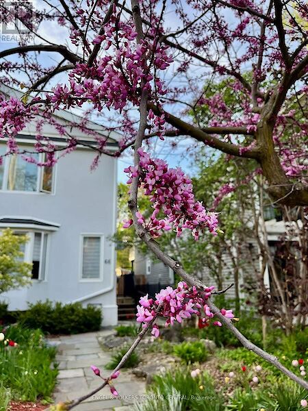 Nestled+in+a+quiet+residential+street Toronto 4 bedrooms House for rent. Property photo: 641294-2