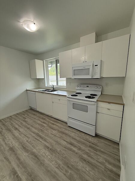 Edmonton 3 bedrooms Basement for rent. Property photo: 641316-2