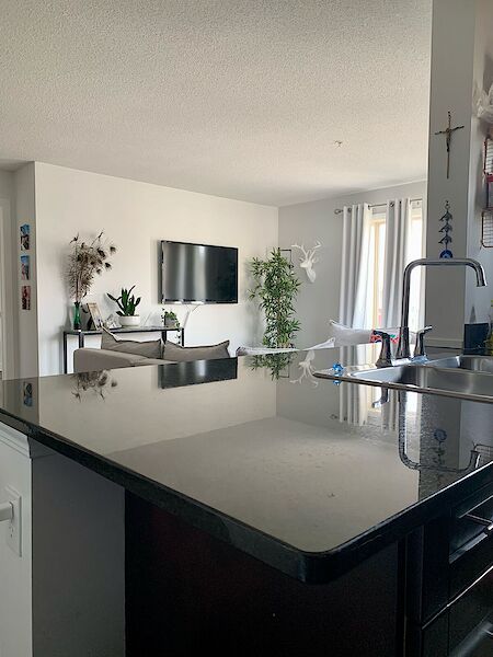 Airdrie 2 bedrooms Condo Unit for rent. Property photo: 641467-2