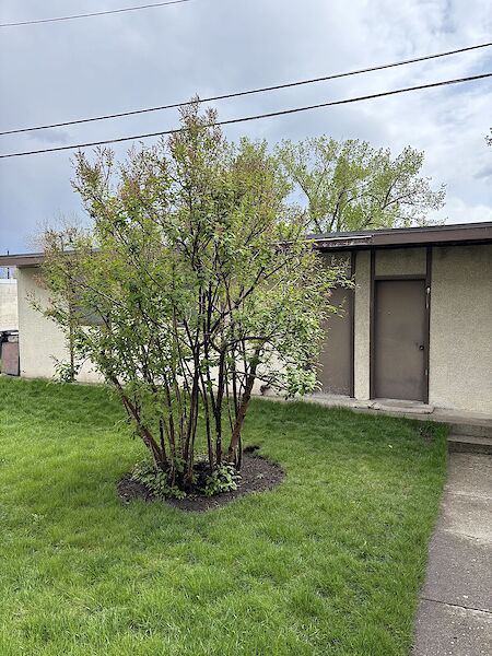 Calgary 1 bedroom Main Floor for rent. Property photo: 641629-2