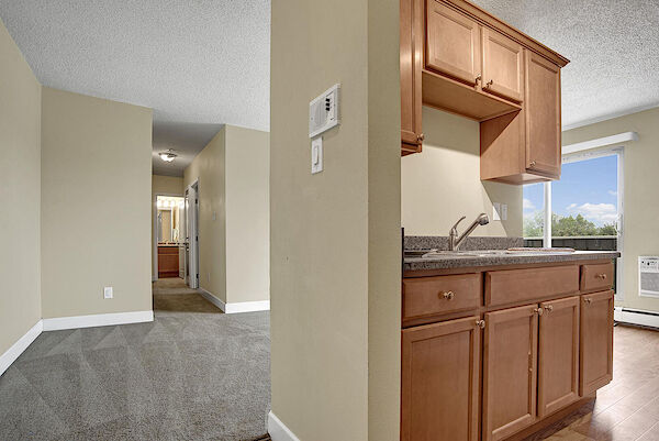 Prince Albert bachelor bedrooms Apartment for rent. Property photo: 642131-2