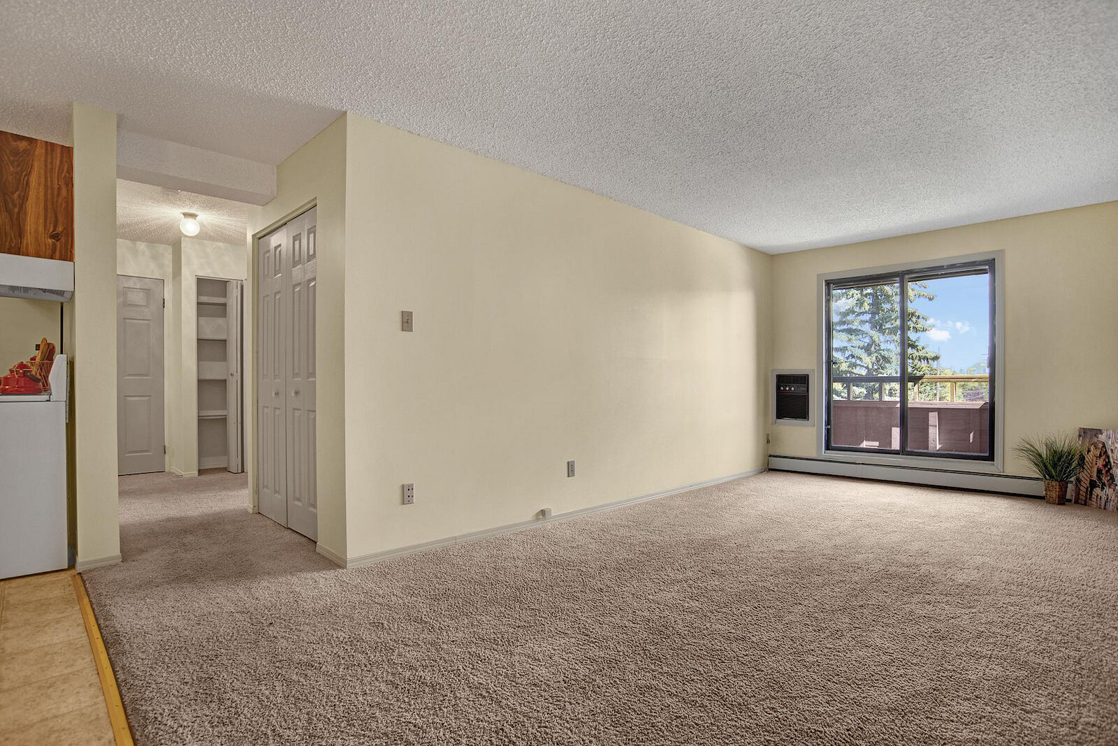 Prince Albert bachelor bedrooms Apartment for rent. Property photo: 642138-1