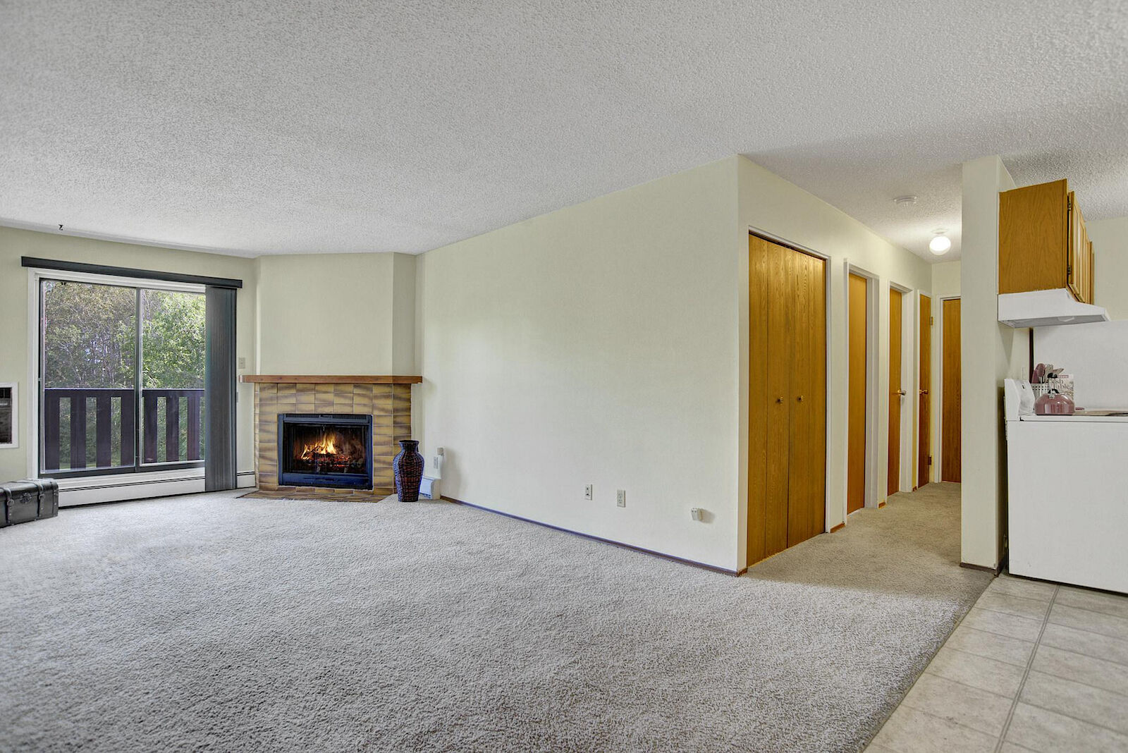 Prince Albert 1 bedrooms Apartment for rent. Property photo: 642140-1