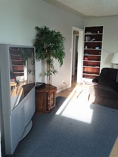 Living+Room+from+the+other+side Calgary 3 bedrooms Main Floor for rent. Property photo: 64241-2