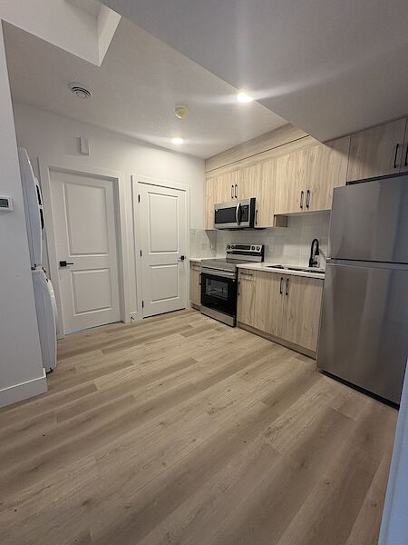 Edmonton 1 bedroom Basement for rent. Property photo: 642529-2