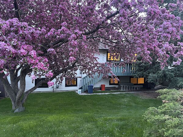 Calgary 4 bedrooms House for rent. Property photo: 642839-2