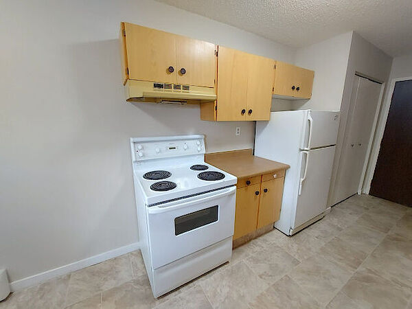 Red Deer 1 bedroom House for rent. Property photo: 644569-2