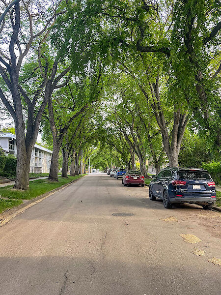 Edmonton 5 bedrooms Room For Rent for rent. Property photo: 644910-2