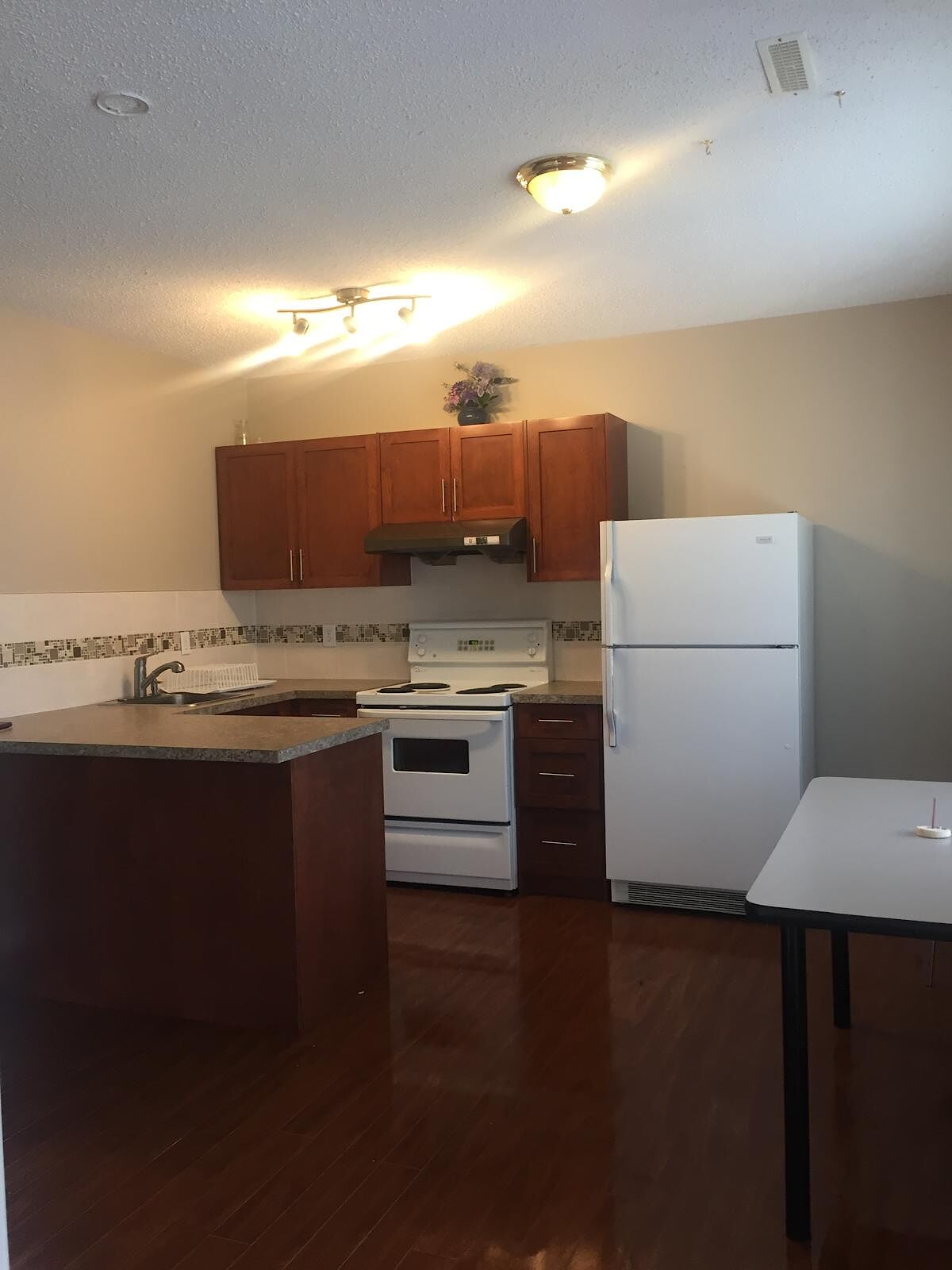 Calgary 3 bedrooms Basement for rent. Property photo: 646528-1