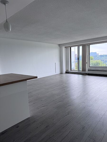 Edmonton 2 bedrooms Condo Unit for rent. Property photo: 646973-3