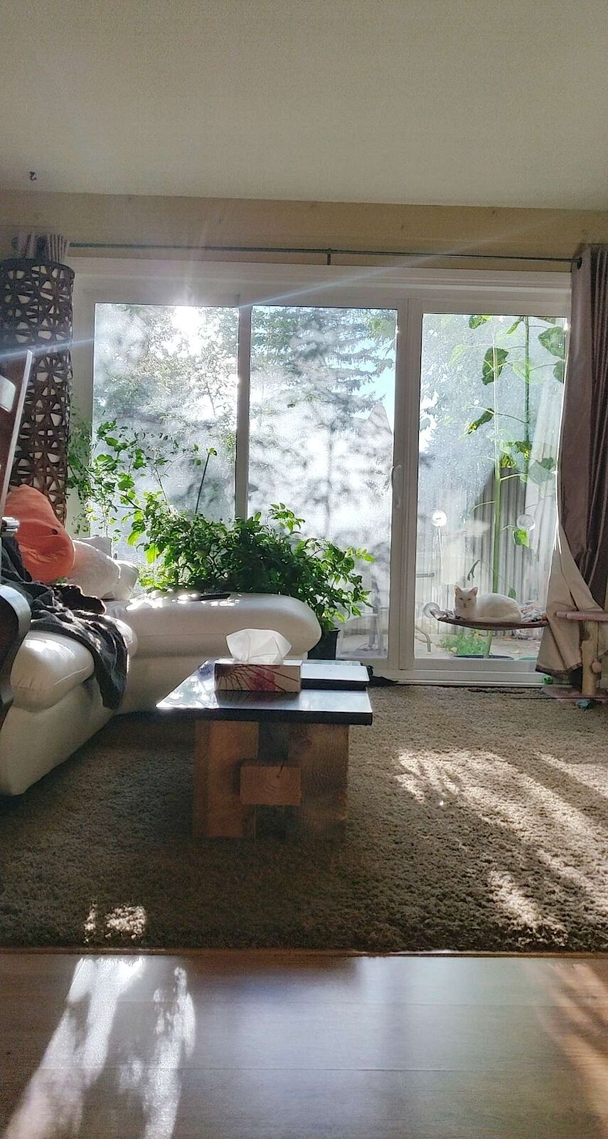 Calgary 2 bedrooms Townhouse for rent. Property photo: 647026-1