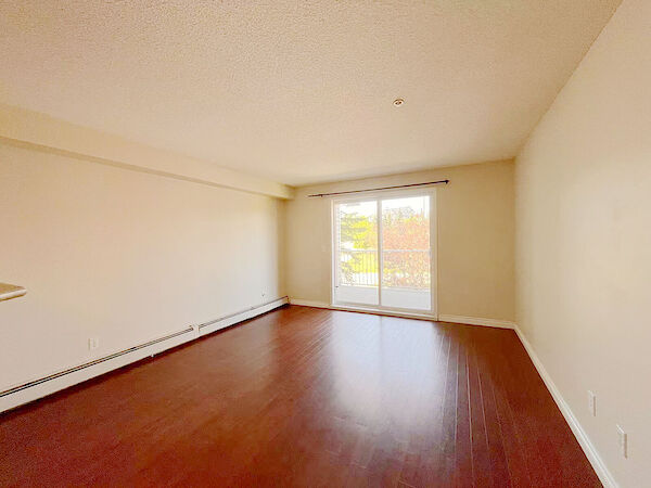 Calgary 2 bedrooms Condo Unit for rent. Property photo: 647080-3